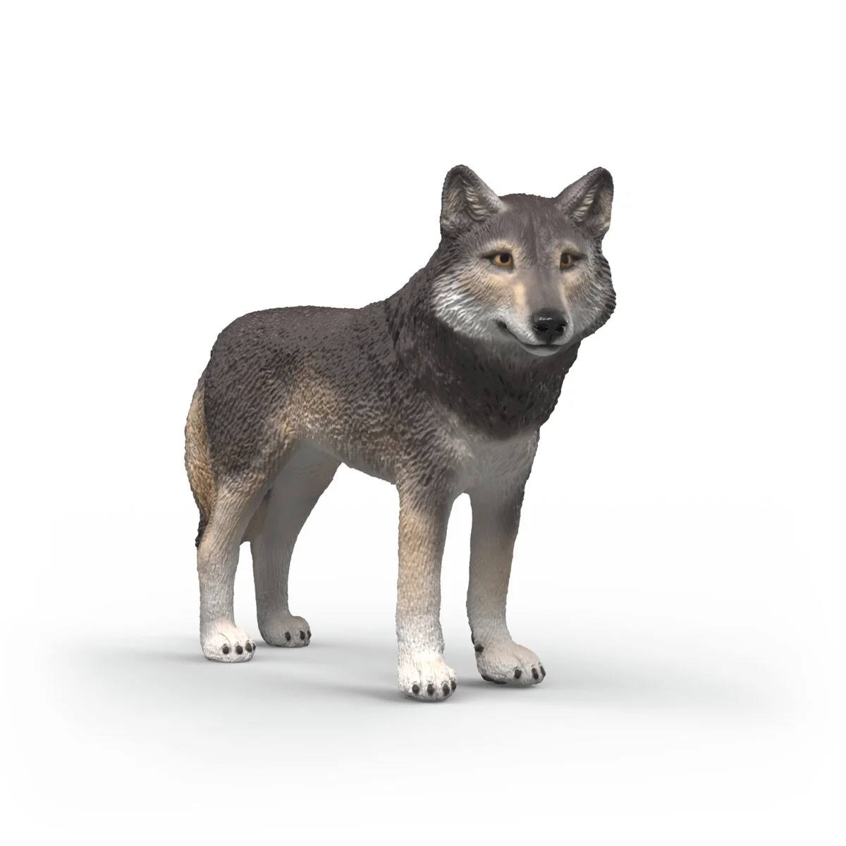 Amerikaanse wolf
