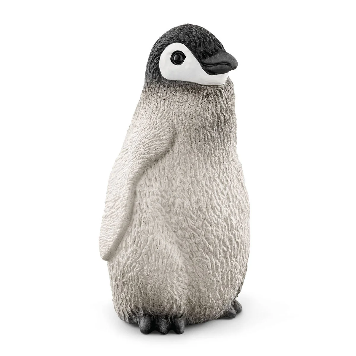 Antarctica-expeditie - Image 18