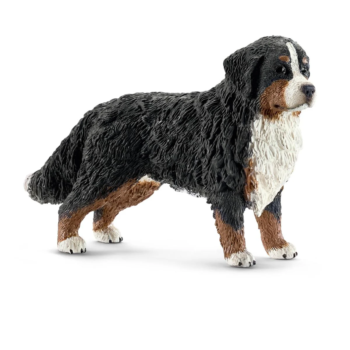 Berner Sennenteef