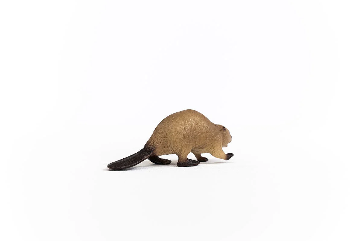 Bever - Image 3