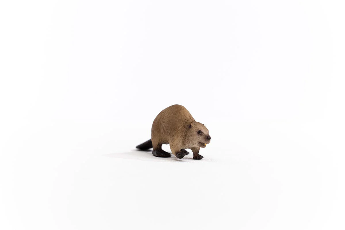 Bever - Image 5