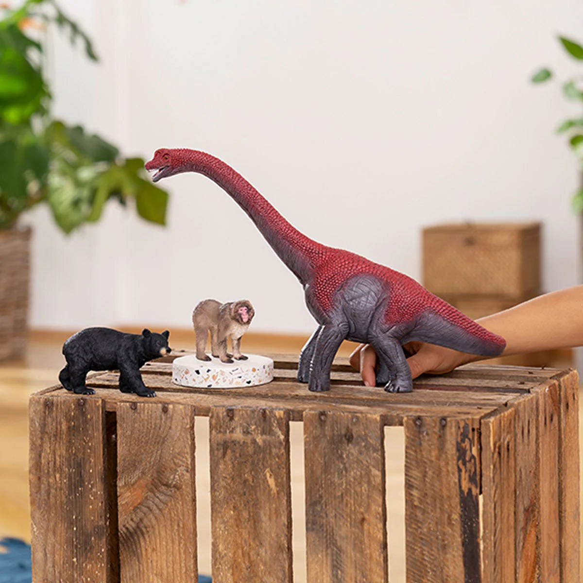 Brachiosaurus - Image 2