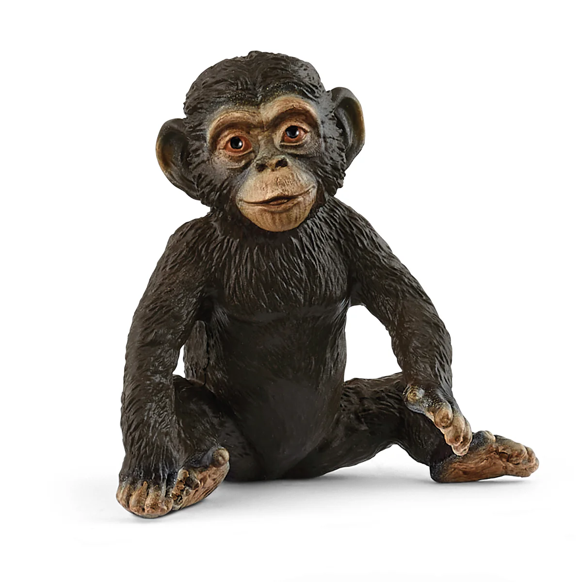 Chimpanseejong