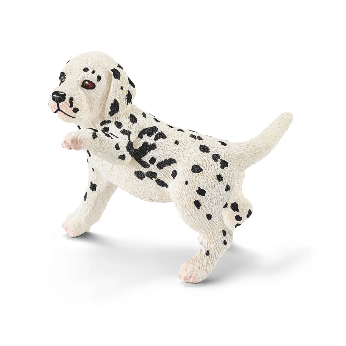 Dalmatiërwelp (bundle)