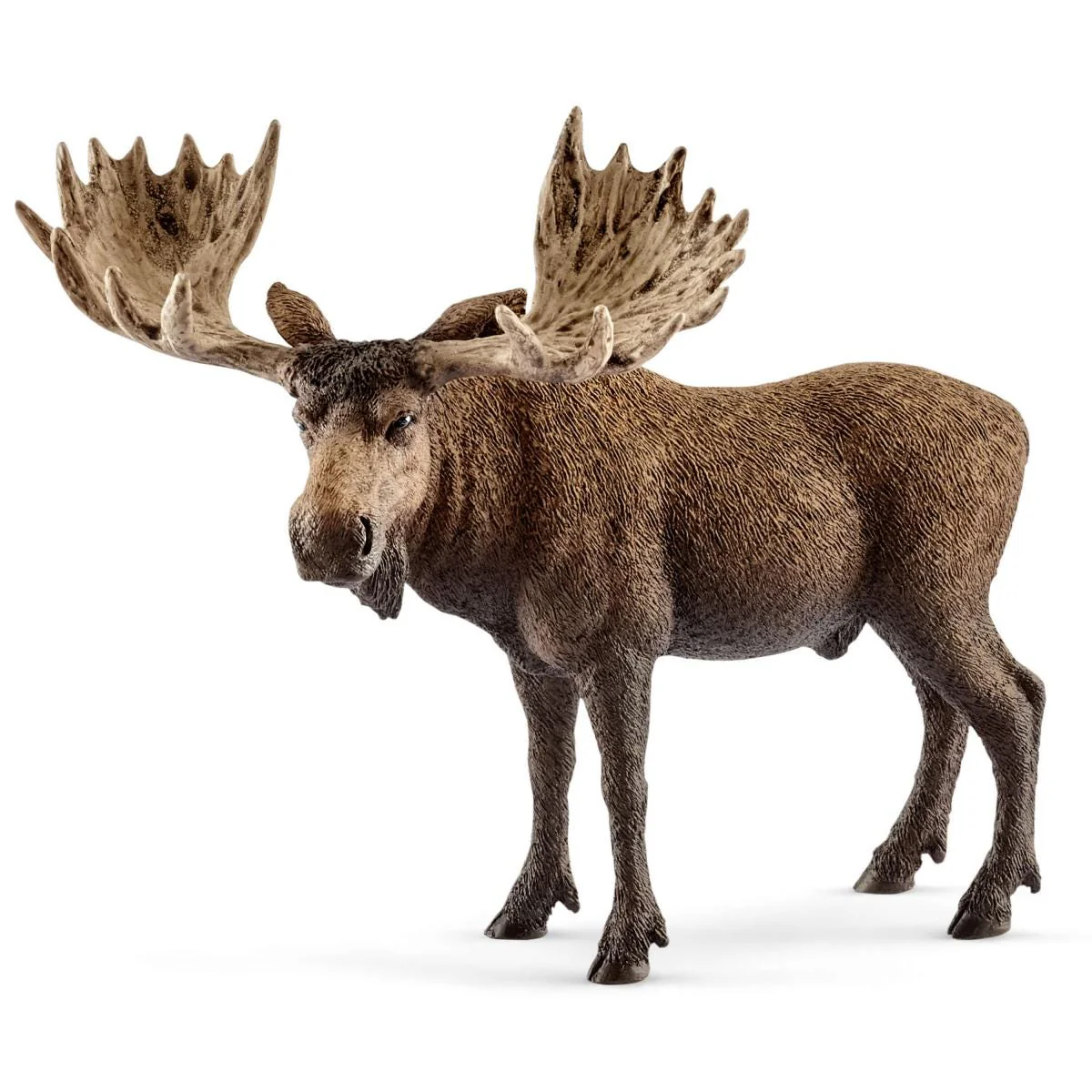 Elandstier