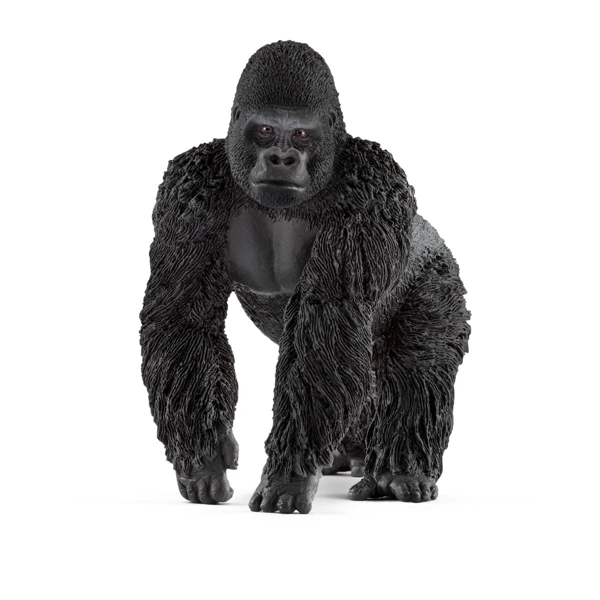 Gorillamannetje (bundle)