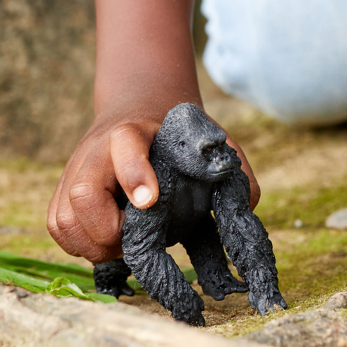 Gorillamannetje (bundle) - Image 4