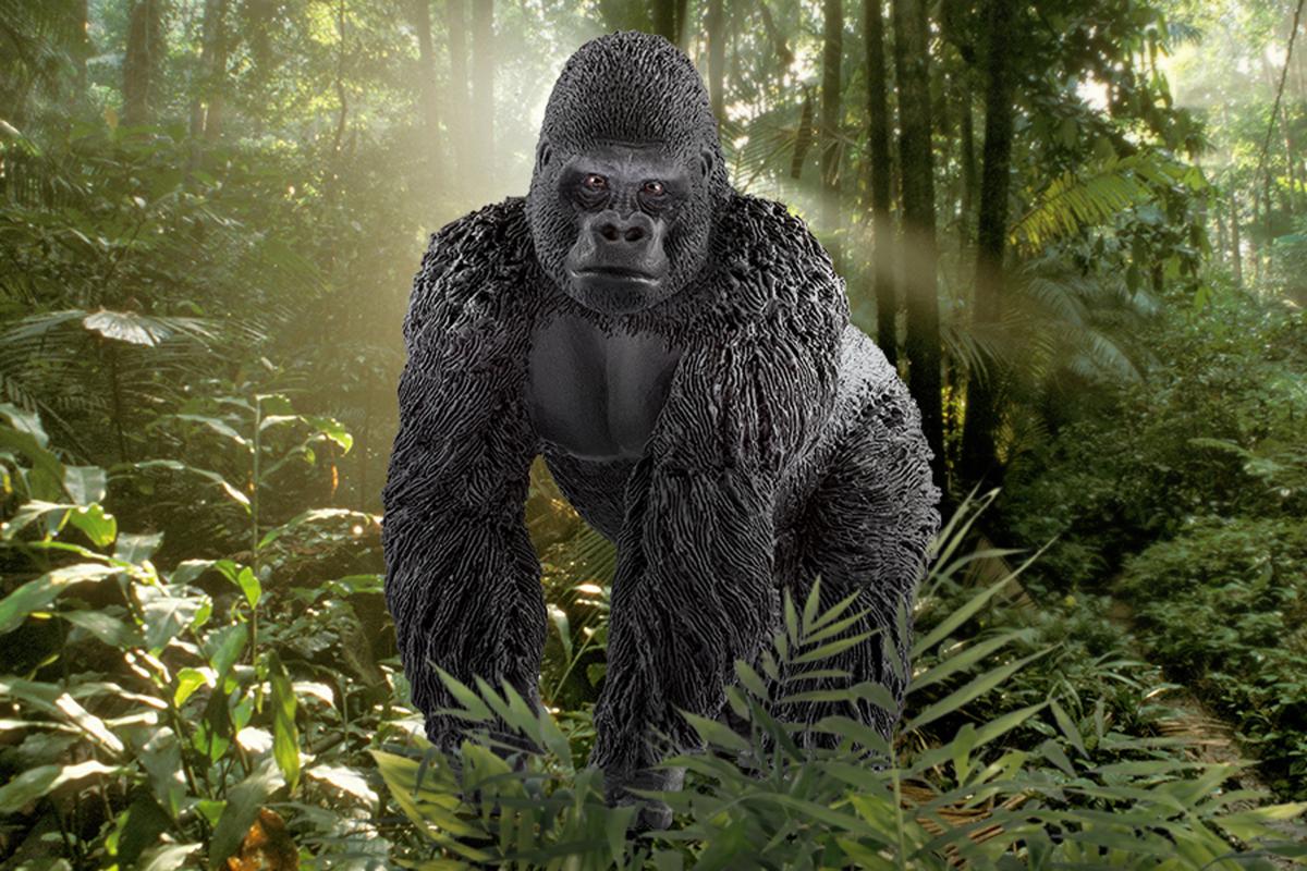 Gorillamannetje (bundle) - Image 5