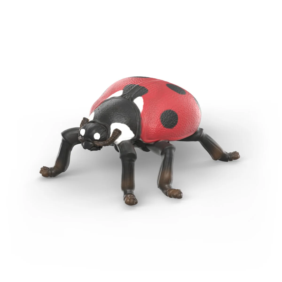 Insecten ontdekkingsset - Image 7