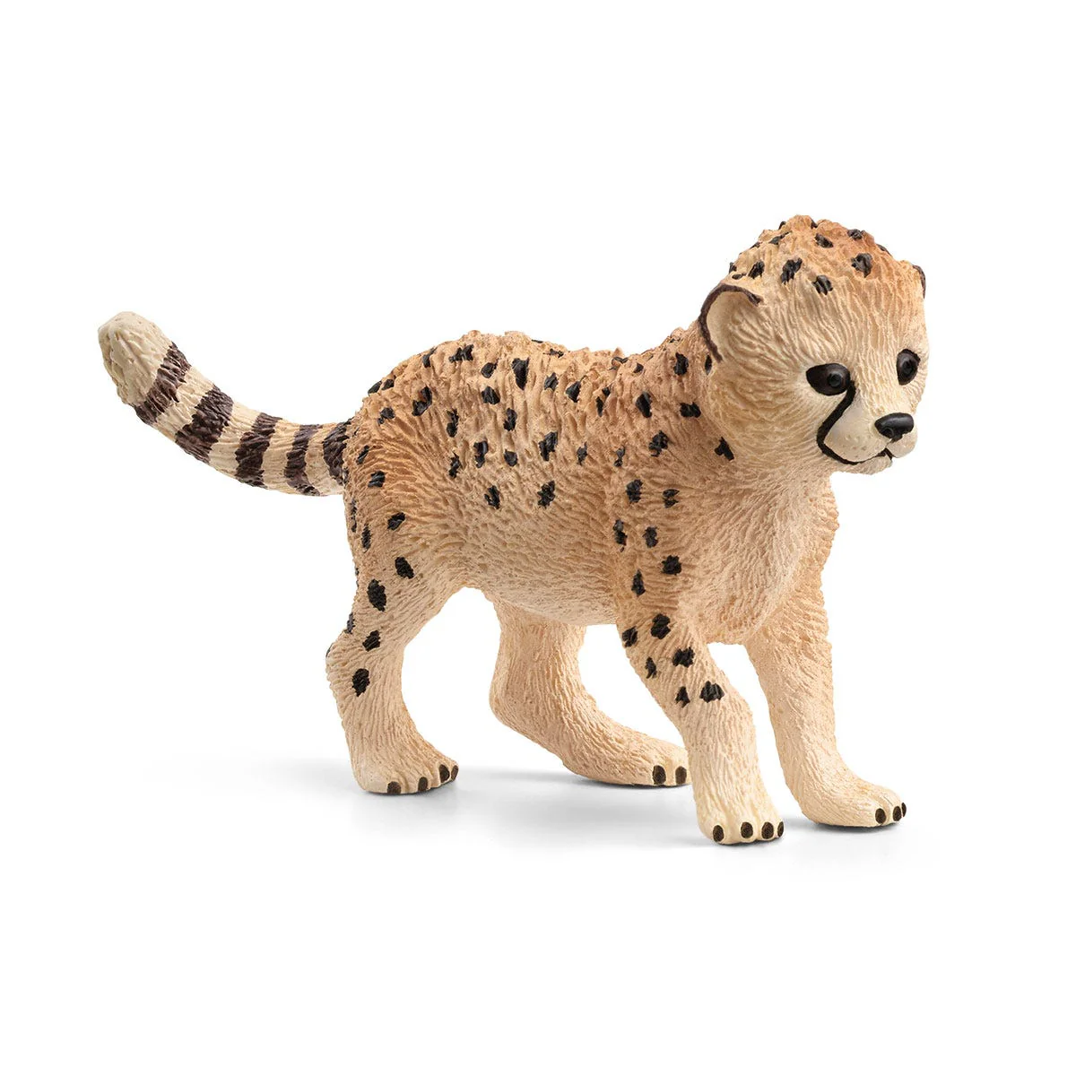 Miniatuur 1