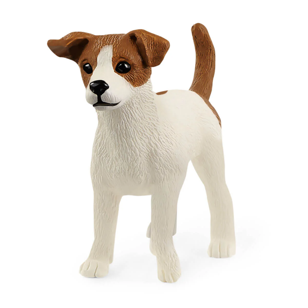Jackrussellterriër