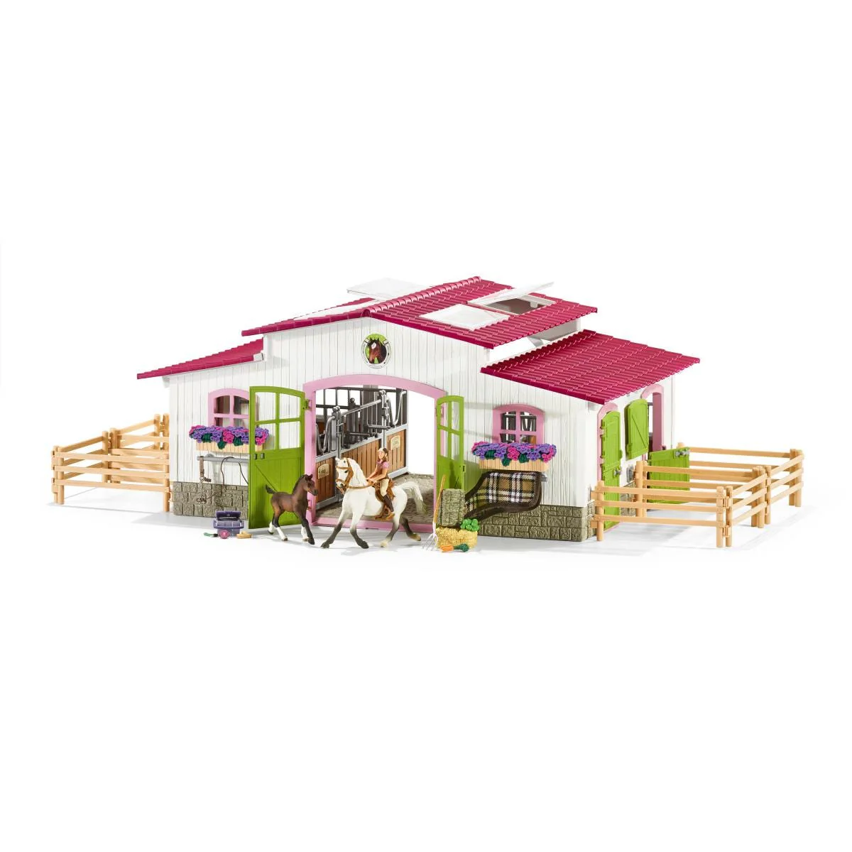 Manege met amazone en paarden