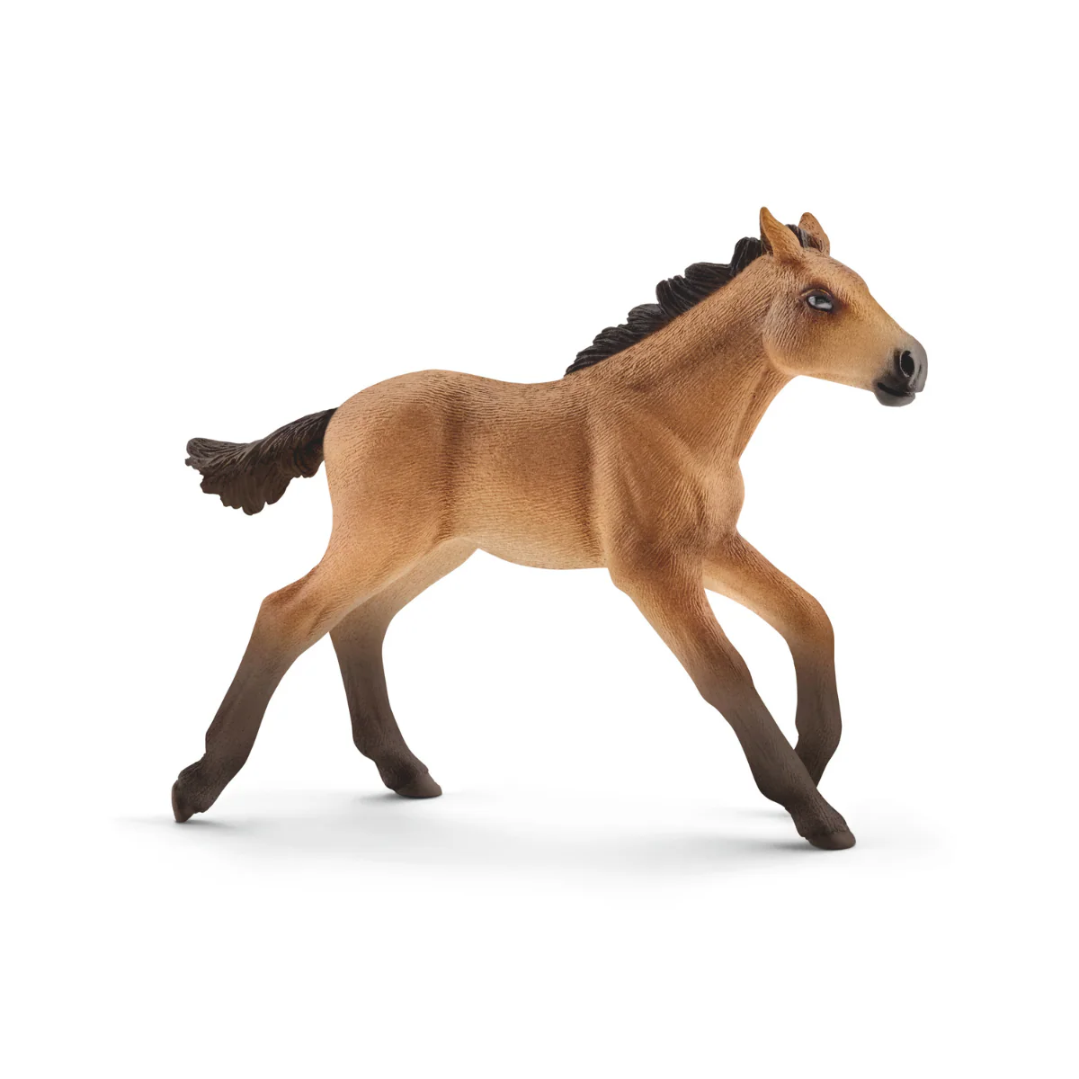 Mustang veulen (bundle)