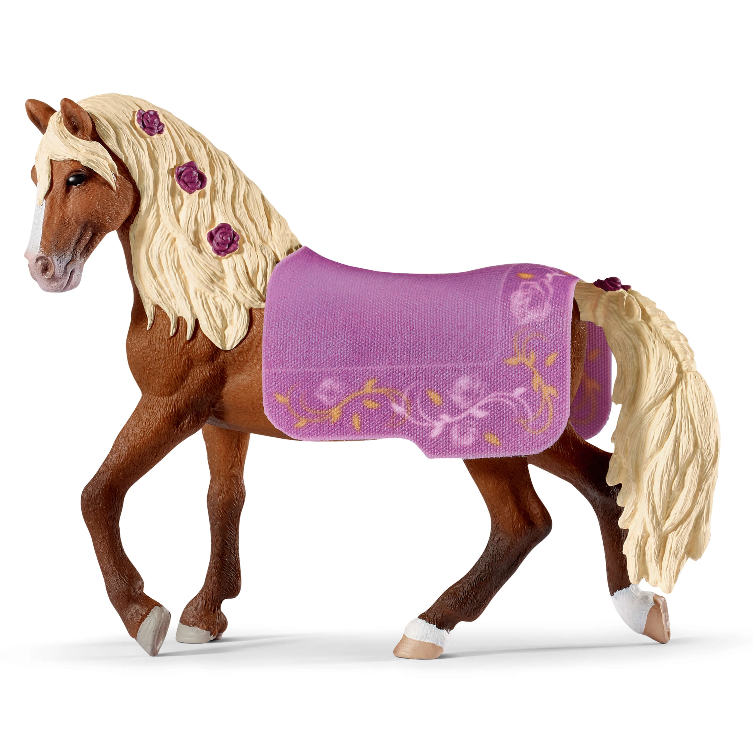 Paso Fino hengst paardenshow