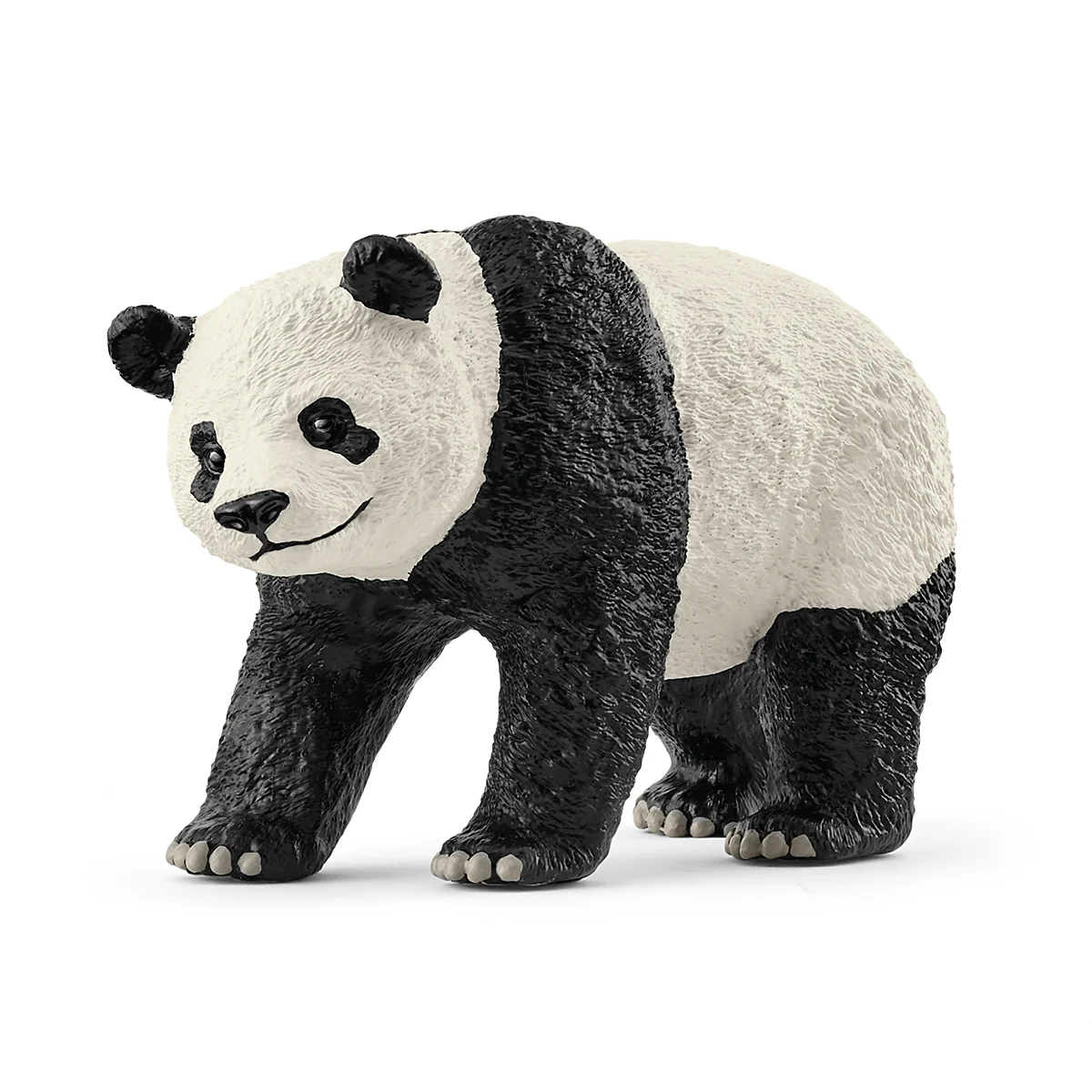 Reuzenpanda