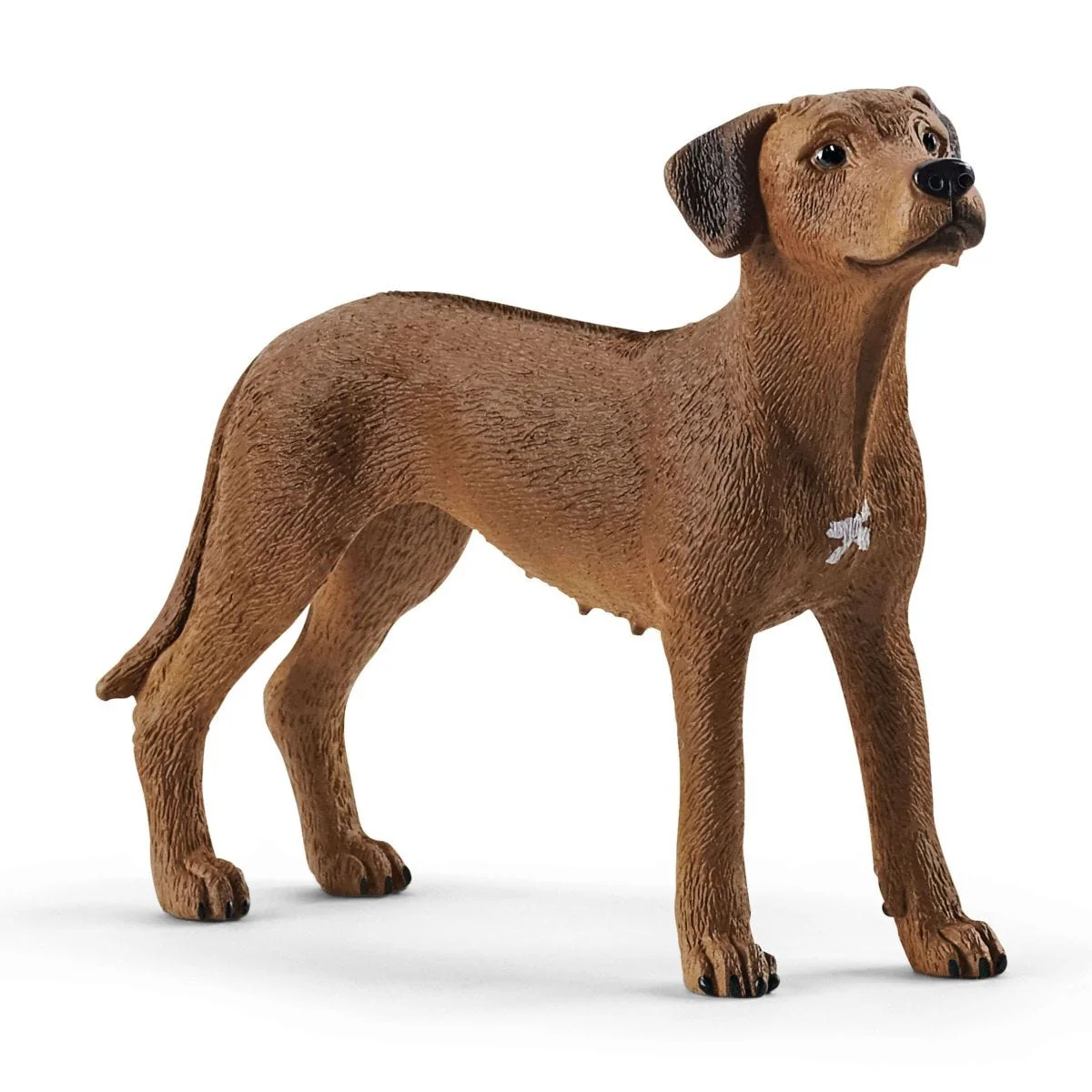 Rhodesische ridgeback