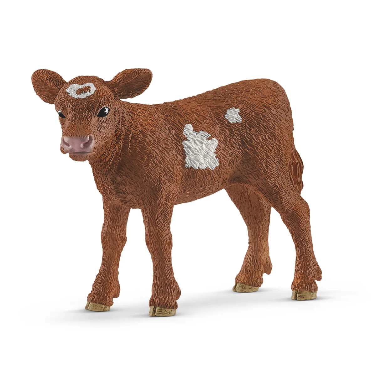 Texas Longhorn kalf (bundle)