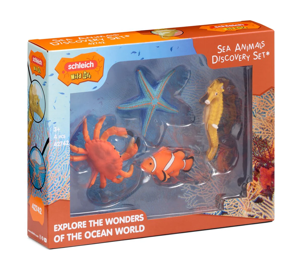 Zeedieren-ontdekkingsset - Image 2