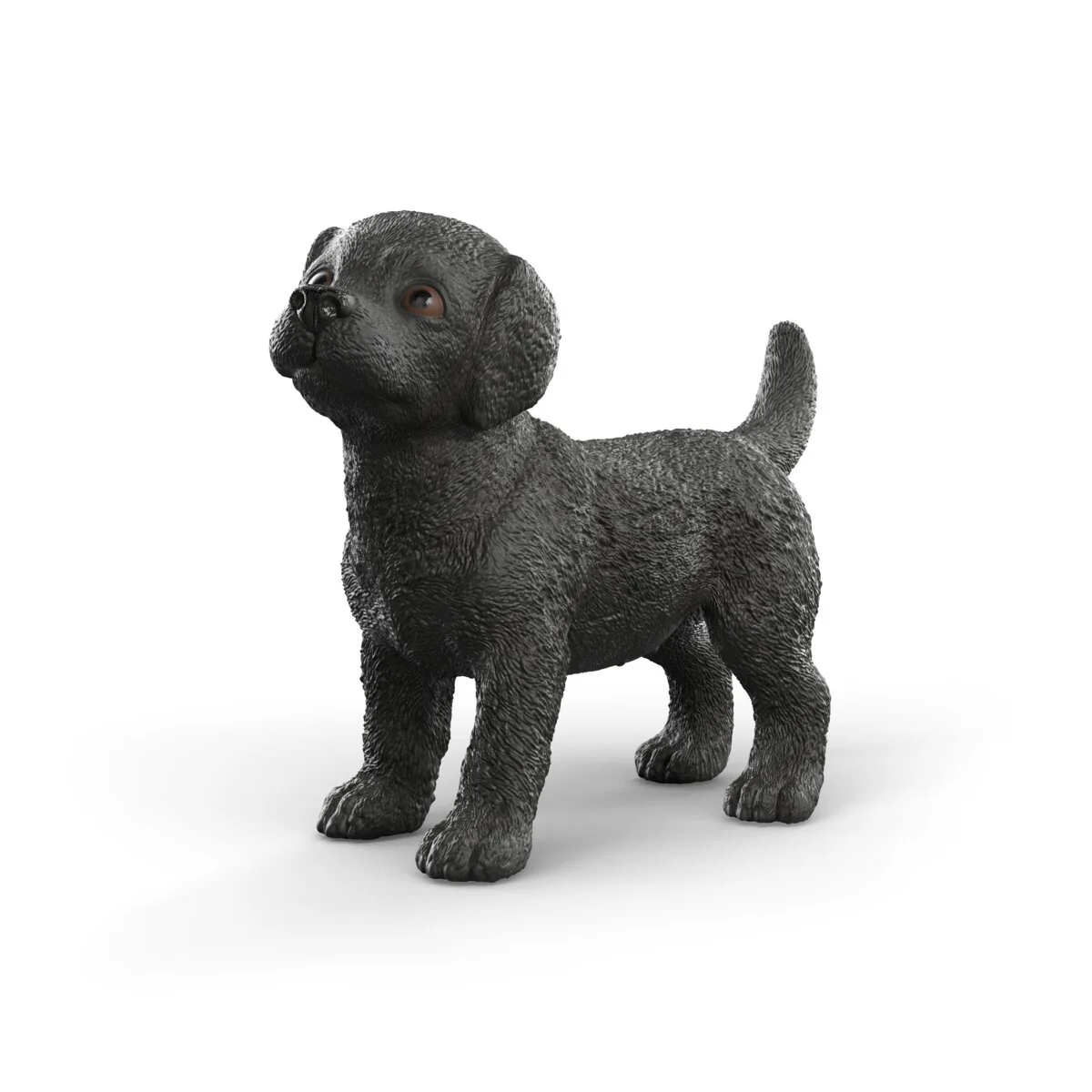 Zwarte Labrador Retriever pup